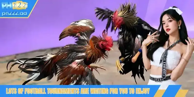 Lots of football tournaments are waiting for you to enjoy