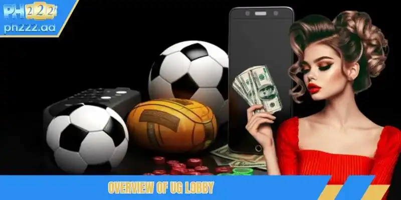 Overview of UG lobby